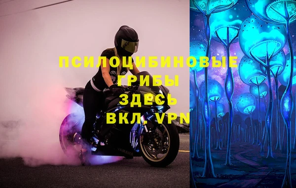 МДПВ Алексин