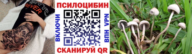 Псилоцибиновые грибы Psilocybine cubensis  Купить закладки  Полтавская 